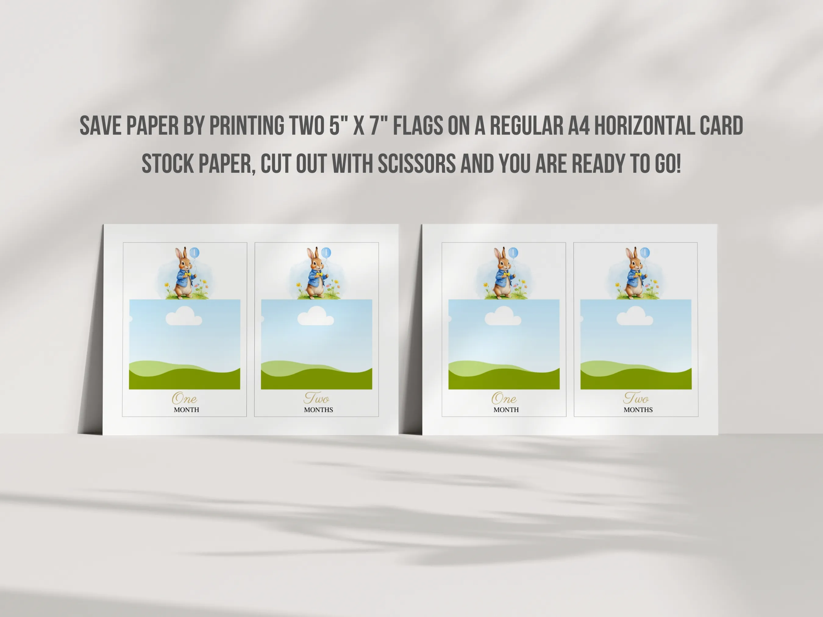 Peter Rabbit Baby Milestone Cards | Monthly Photo Banner | 1st Birthday Editable Canva Template | Digital Download