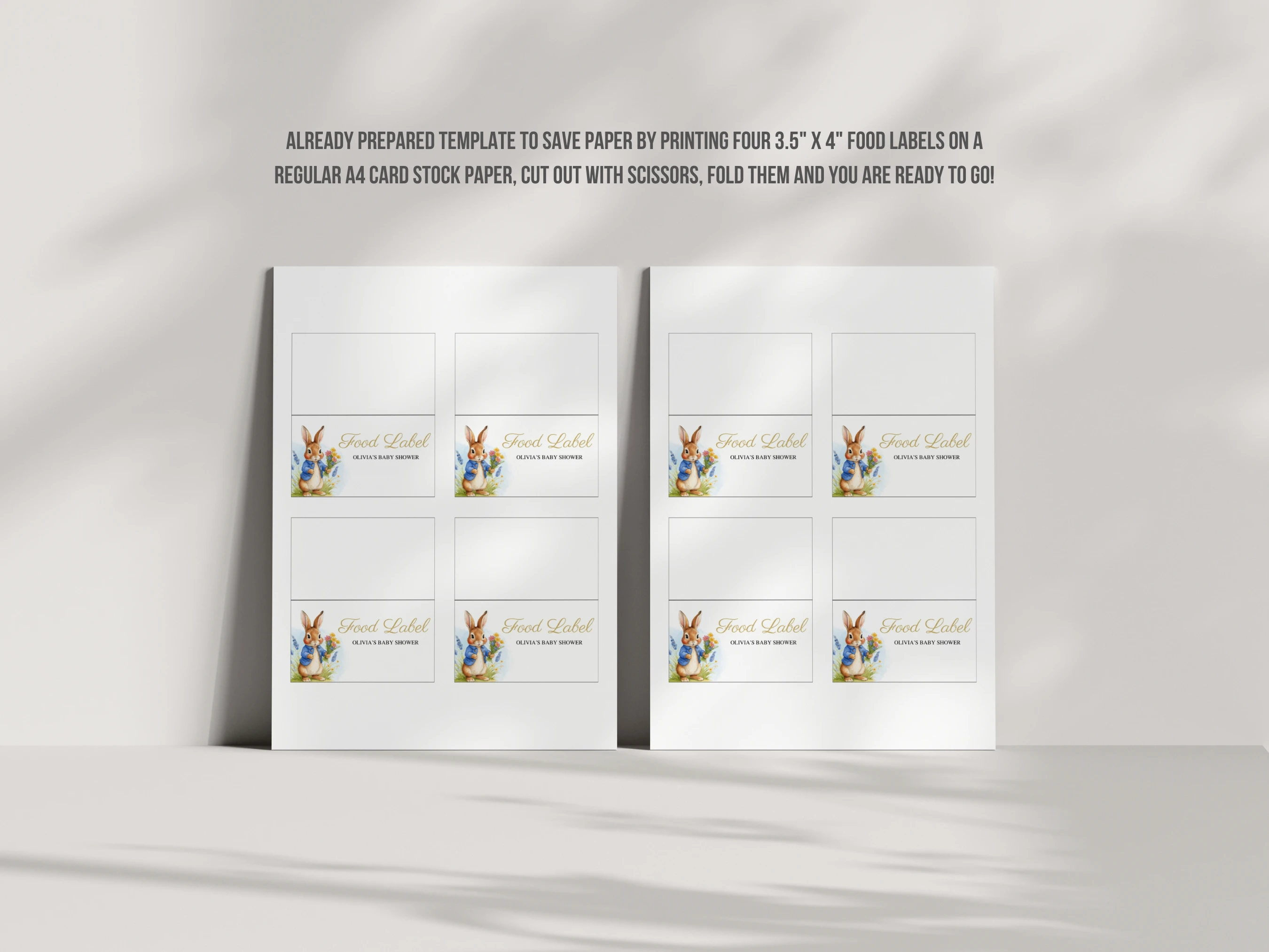 Peter Rabbit Baby Shower Place Cards | Flopsy Bunny Spring Gender Neutral Seating Cards | Editable Canva Template | Digital Download