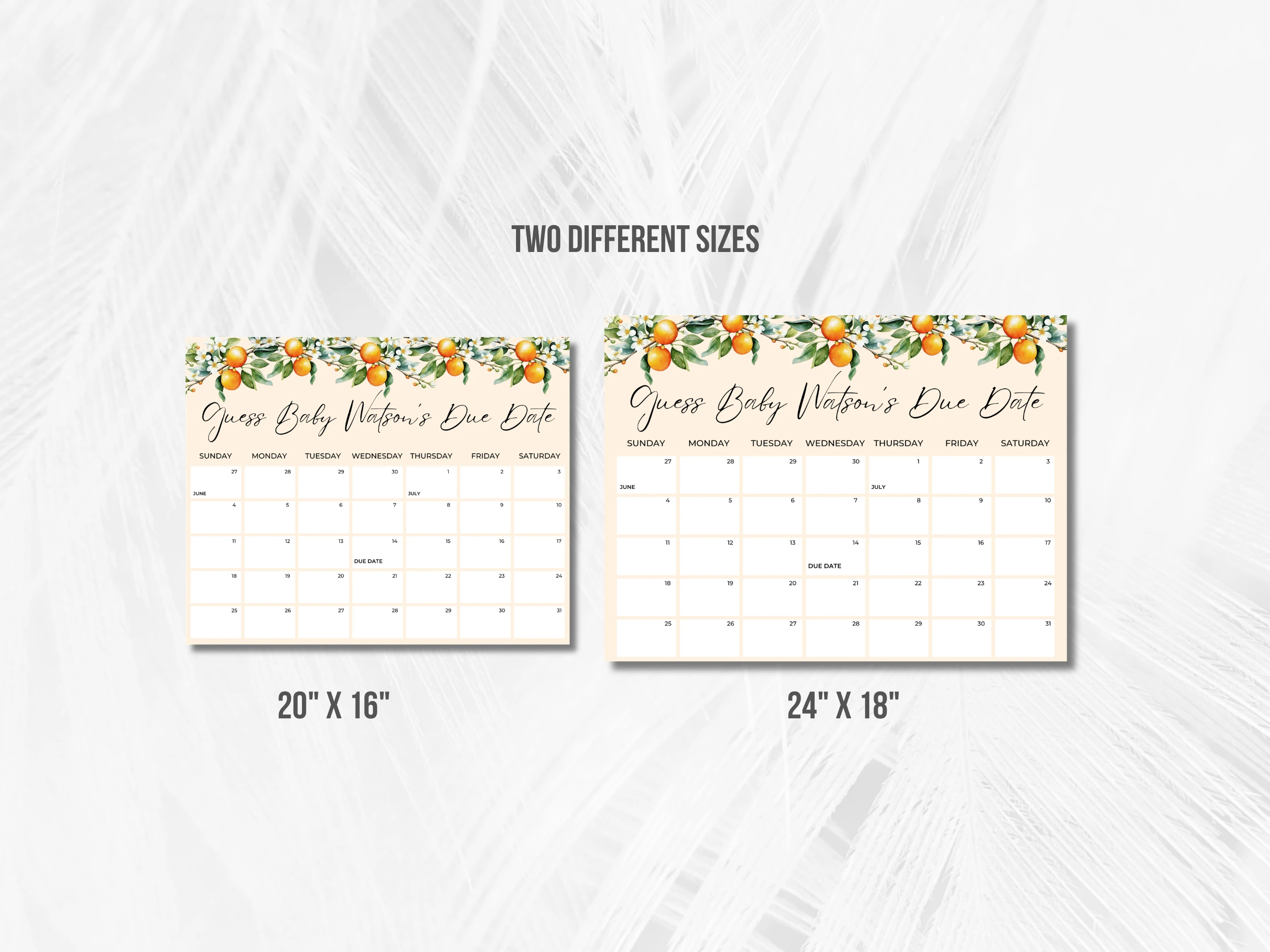 Little Cutie Baby Due Date Calendar | Orange Citrus Prediction Game | Spring Guess The Birthday For Baby Girl | Editable Canva Template | Digital Download