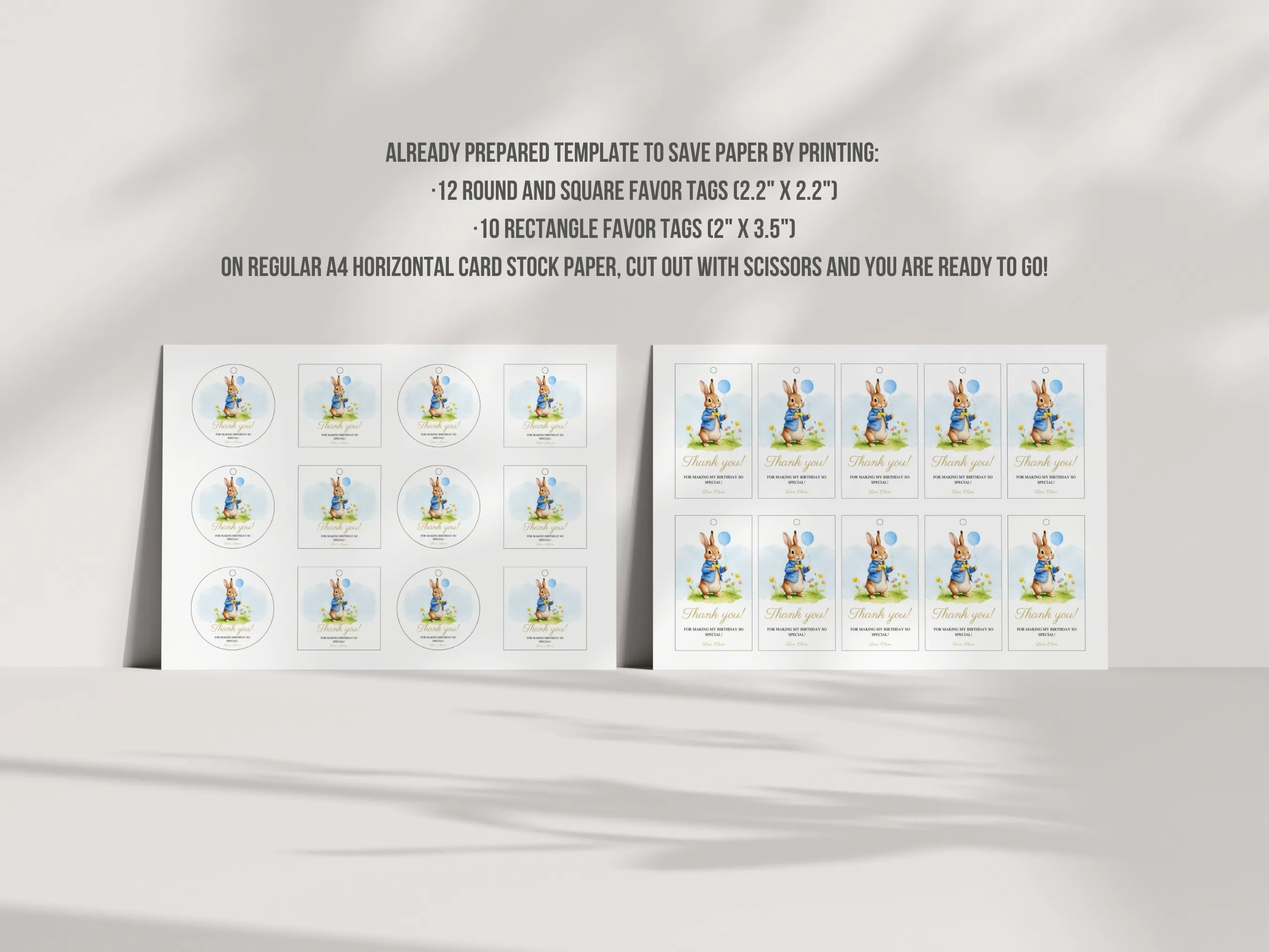 Peter Rabbit Birthday Gift Tags | Flopsy Bunny Thank You Tags | Bunny Party Favor Labels | Editable Canva Template | Digital Download